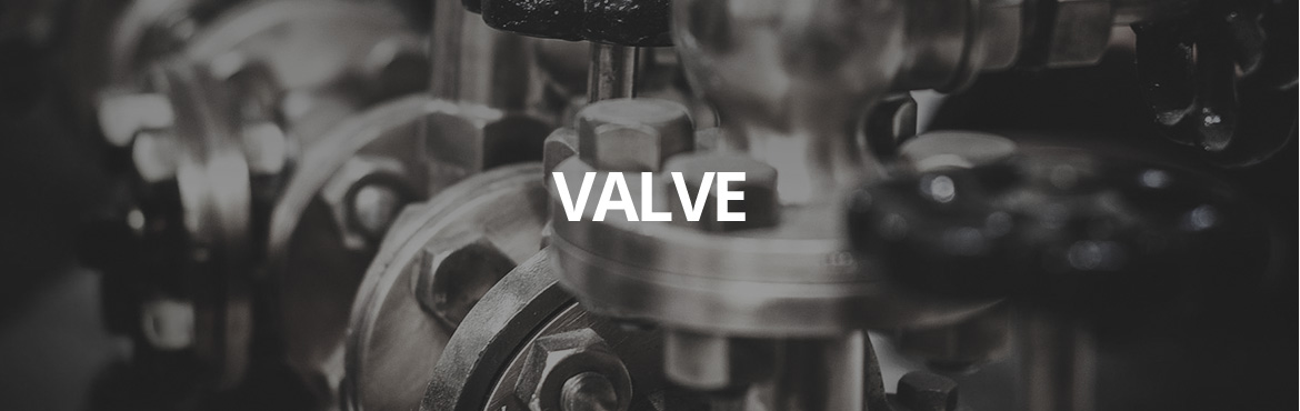 VALVE